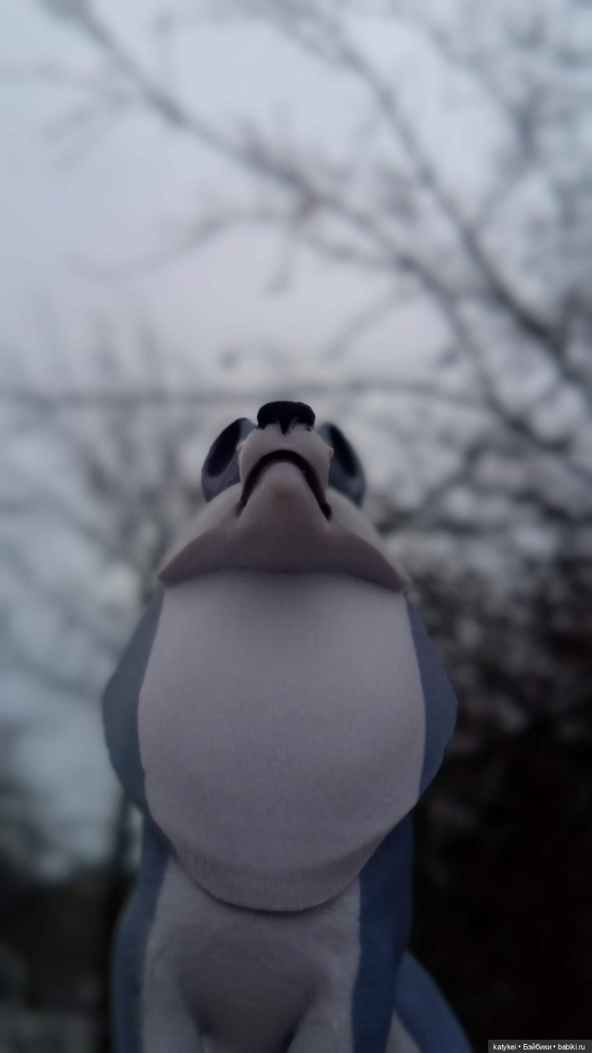 Умеют ли волки лазить по деревьям (фото 6)