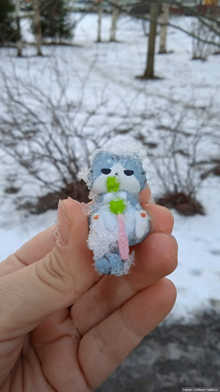 Новогодняя фотосессия котика