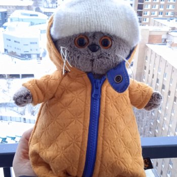 Басик космонавт