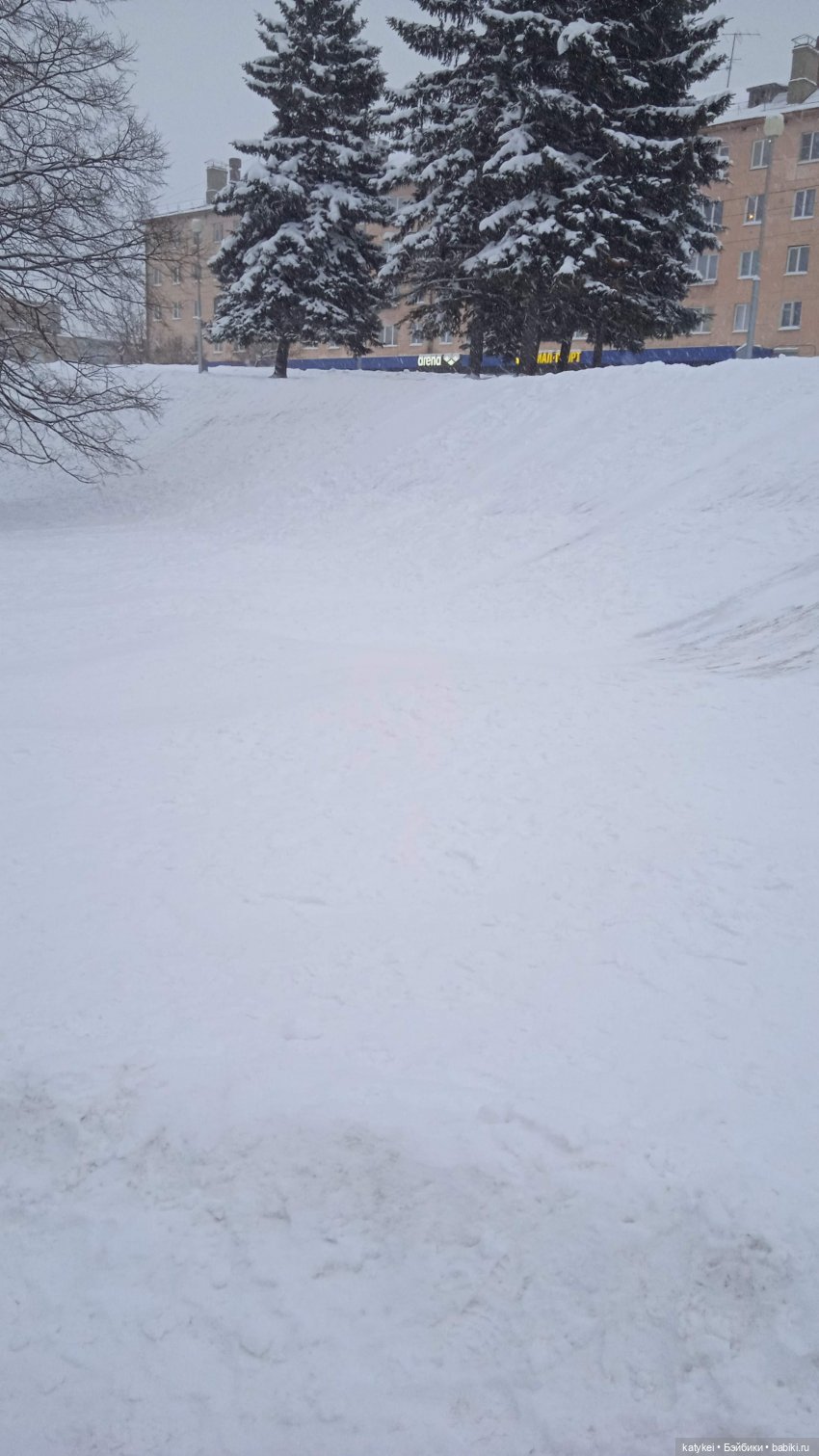 Жёлтая кошечка в переноске и другие (фото 3)