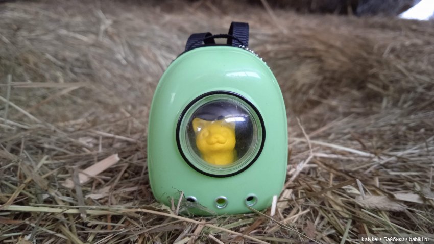 Жёлтая кошечка в переноске и другие (фото 4)