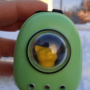 Жёлтая кошечка в переноске и другие