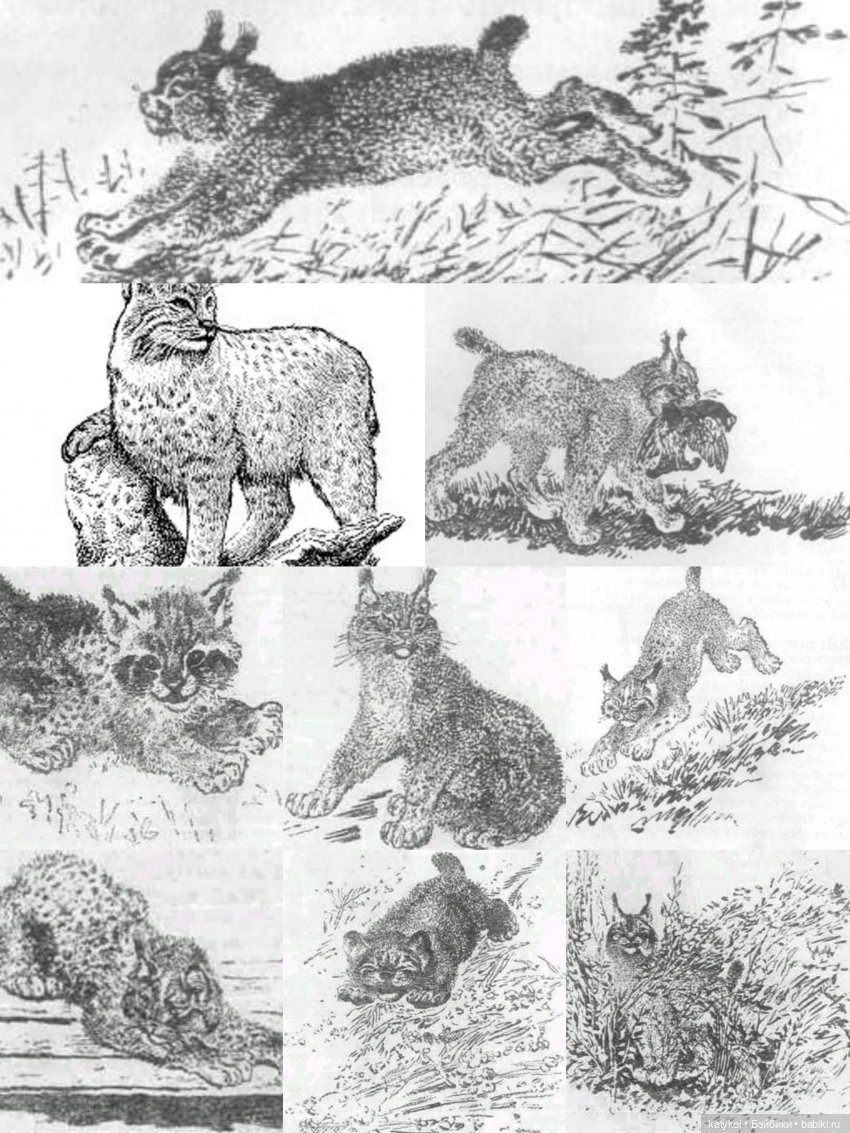 Мурзук — Коллекционные игрушки и фигурки: Lego (фото 4)