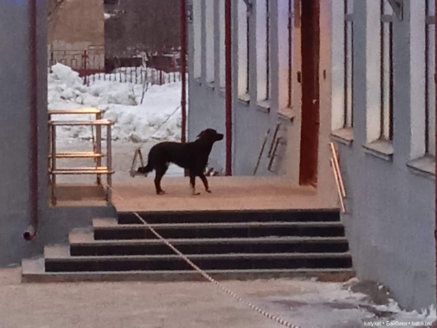 Приключения бордовой машинки зимой