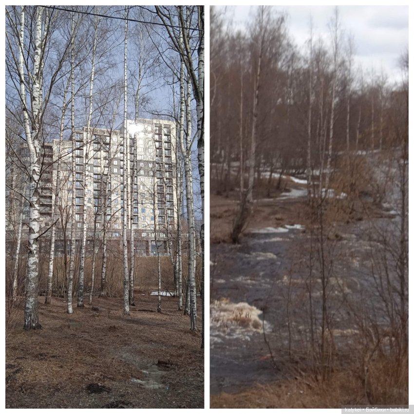 А что у нас сегодня — Гибриды шарнирных кукол (не БЖД): подбор тела (фото 6)