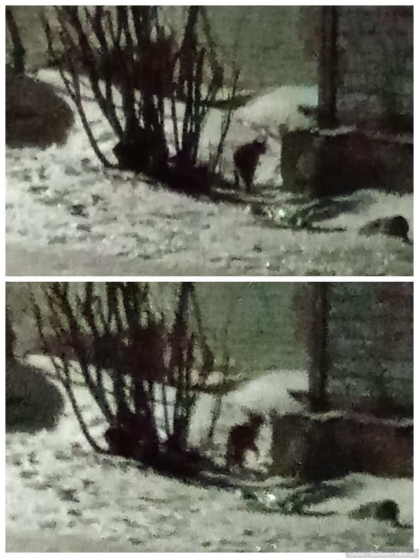 А что у нас сегодня — Гибриды шарнирных кукол (не БЖД): подбор тела (фото 7)