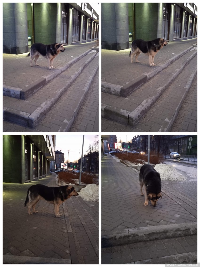 А что у нас сегодня — Гибриды шарнирных кукол (не БЖД): подбор тела (фото 8)