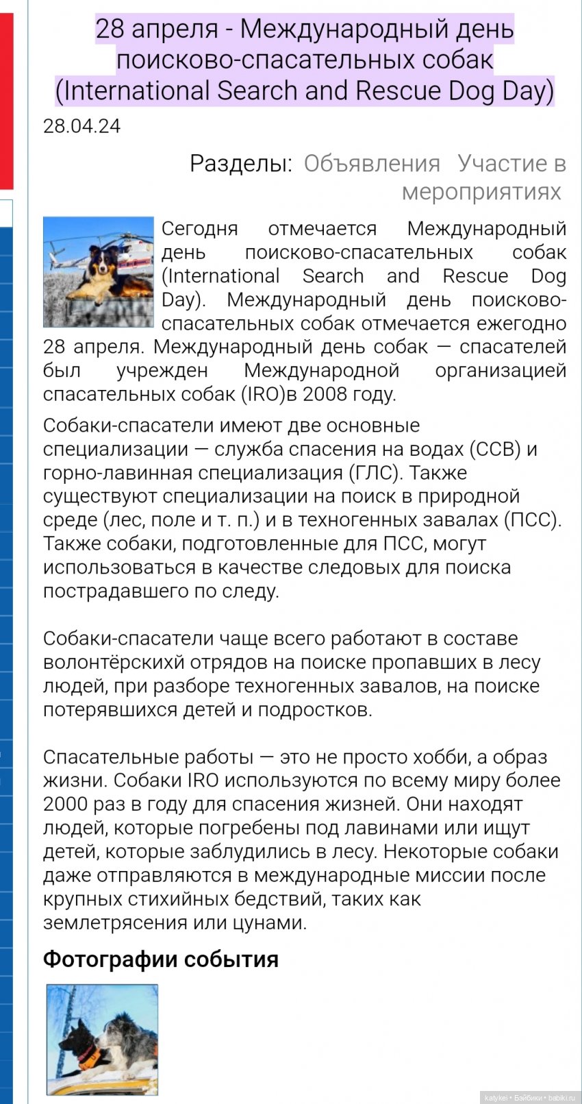 День собак-спасателей — Рисование и арт: скетчи