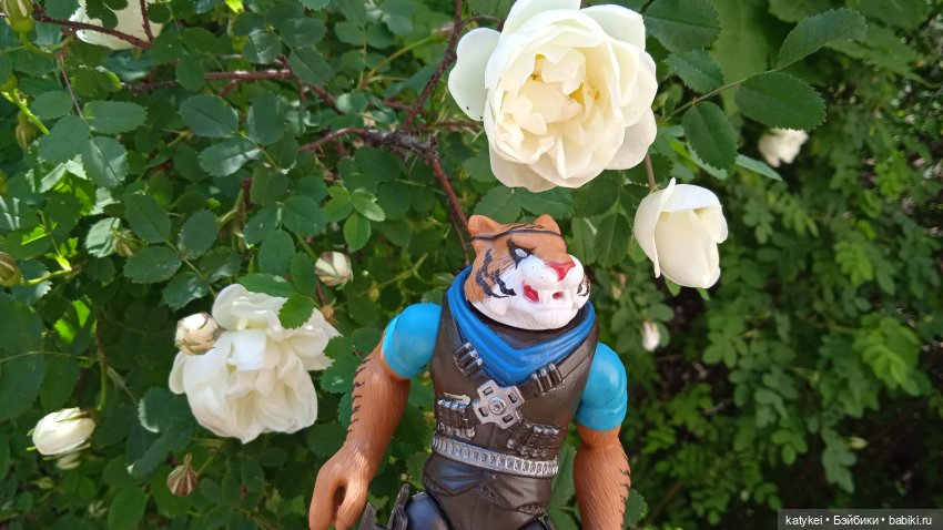 Куто и цветочки — Разные шарнирные куклы (не БЖД): редкие (фото 4)