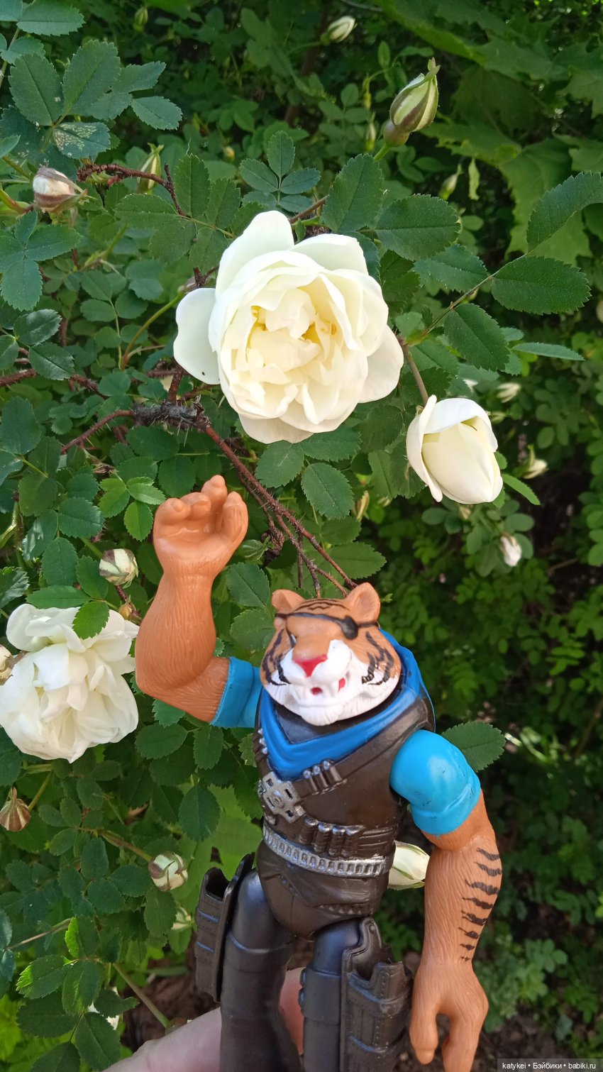 Куто и цветочки — Разные шарнирные куклы (не БЖД): редкие (фото 3)