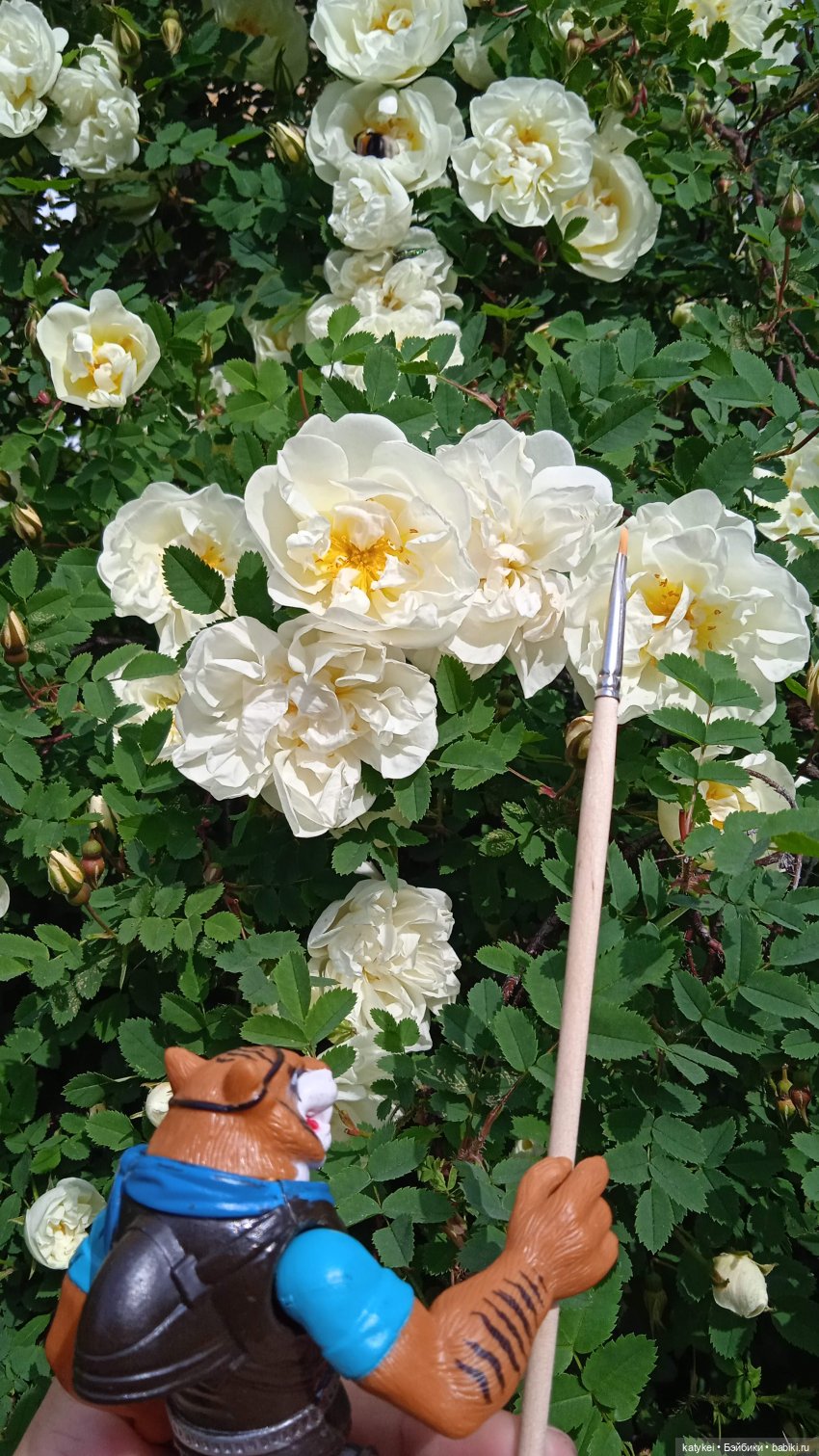 Куто и цветочки — Разные шарнирные куклы (не БЖД): редкие