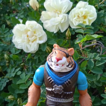 Куто и цветочки