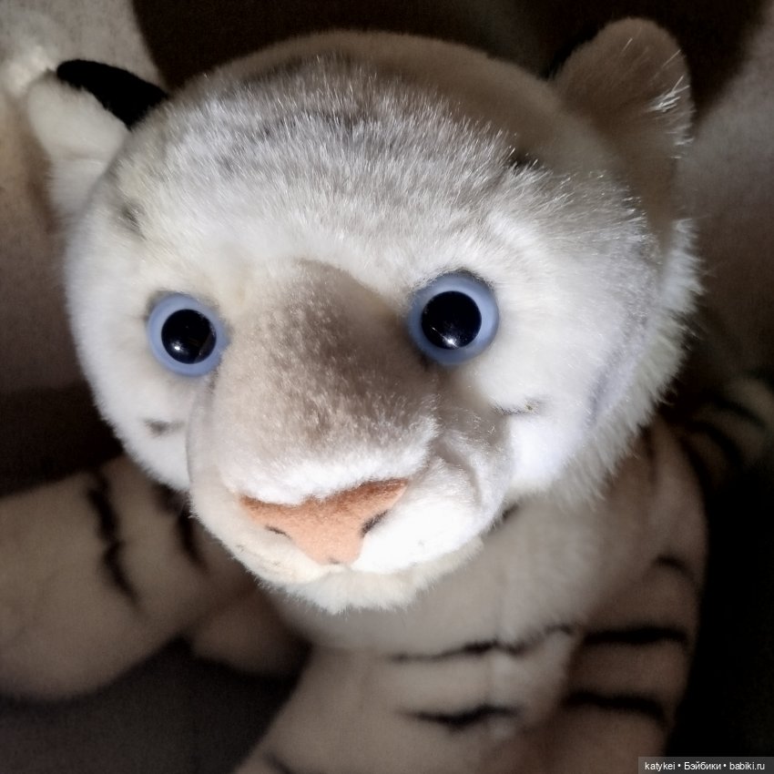 День тигра 2025 — Разные шарнирные куклы (не БЖД): редкие (фото 3)