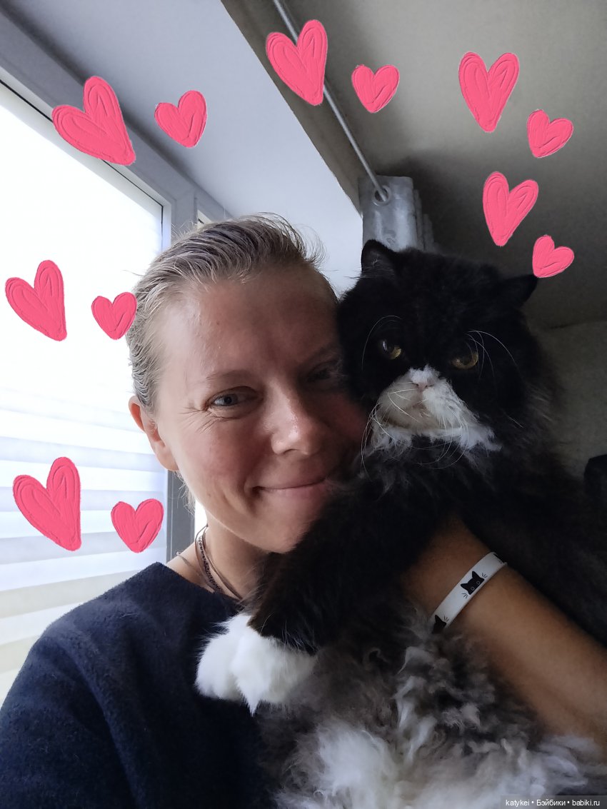 День котиков 2025 — Коллекционные игрушки и фигурки: Lego (фото 5)