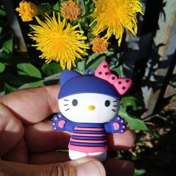 День котиков 2025