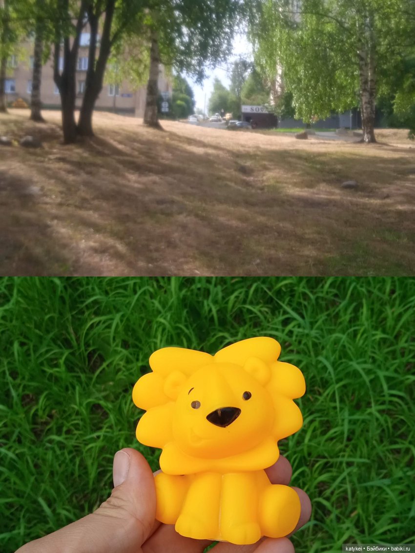 Банановый лев или Все оттенки жёлтого (день льва 2025)