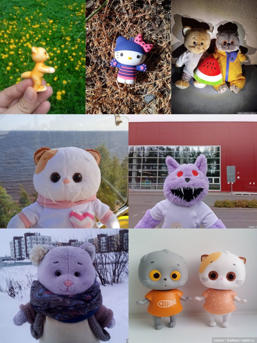 День благодарности чёрным котам 2025 (фото 5)