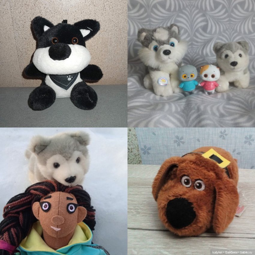 День благодарности чёрным котам 2025 (фото 7)