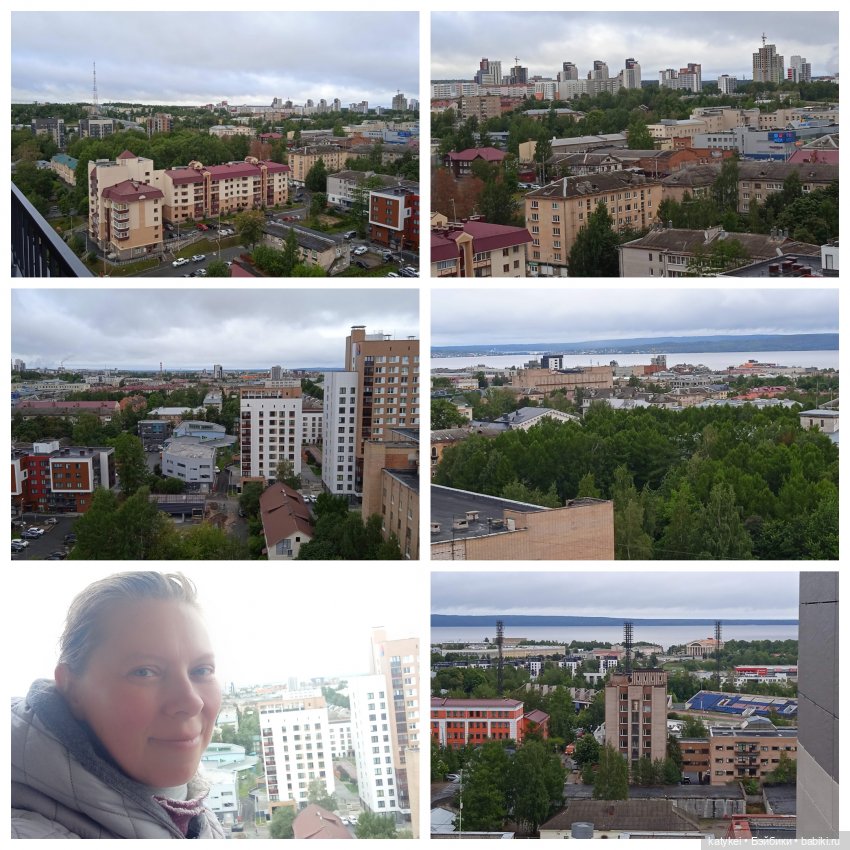 Маленький лисёнок на большой высоте (фото 3)