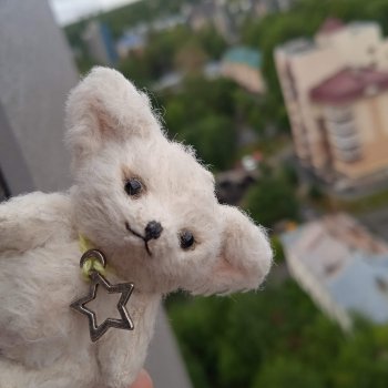 Маленький лисёнок на большой высоте