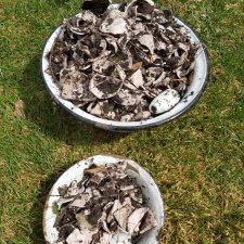 Дом с сюрпризом, часть 2. Осколки розового счастья