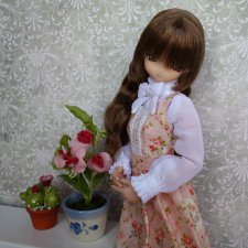 Mia Winter Vacation Limited Ver