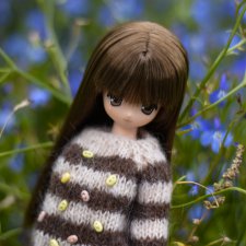 Koron Bear Komorebimori no Dobutsutachi