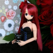 Alisa Nostalgic Story Collection Osaka Limited