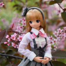 Pink! Pink! a la mode Gray x Pink Lycee Limited Ver