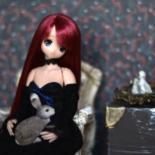 Однажды Алиса - навсегда Алиса