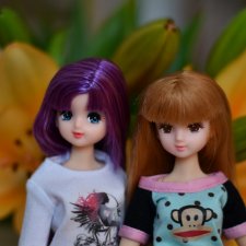 Слепила из того, что было