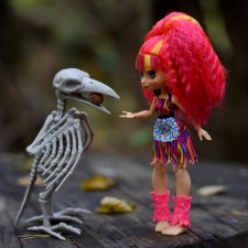 Привет, птичка, как дела, птичка