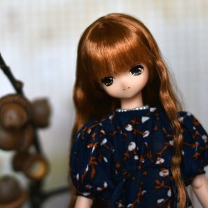 Осень Кохаку Акеми