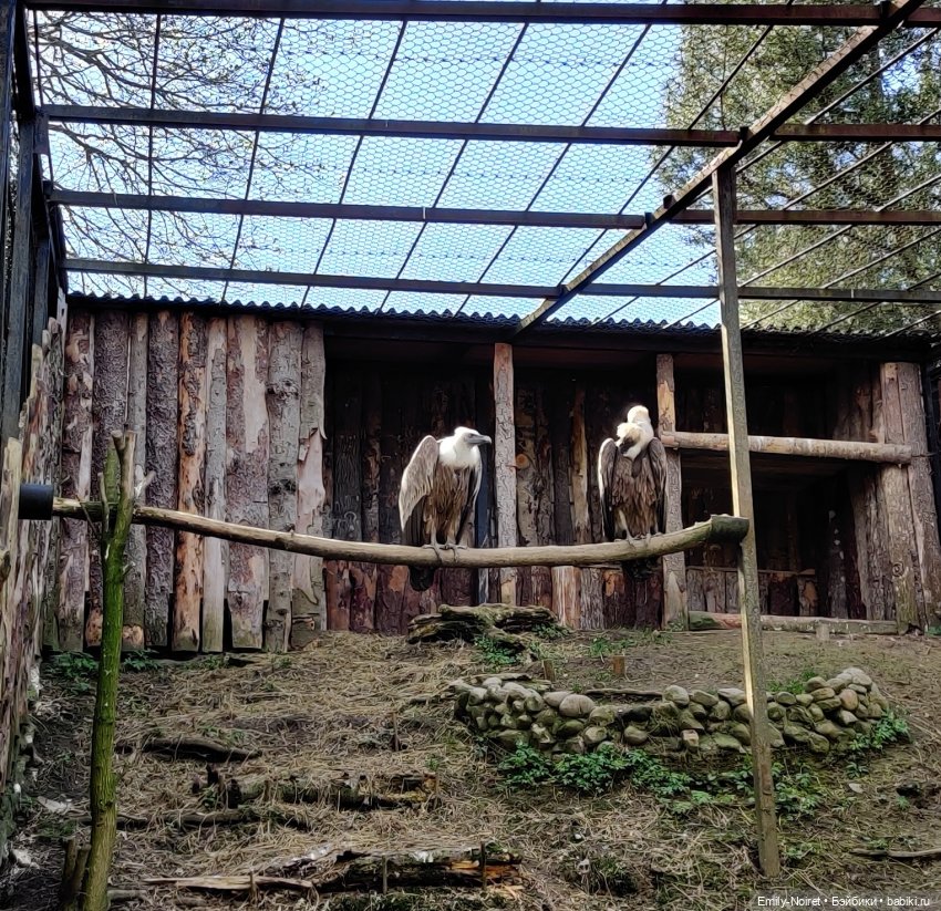 Путешествие в город Канта