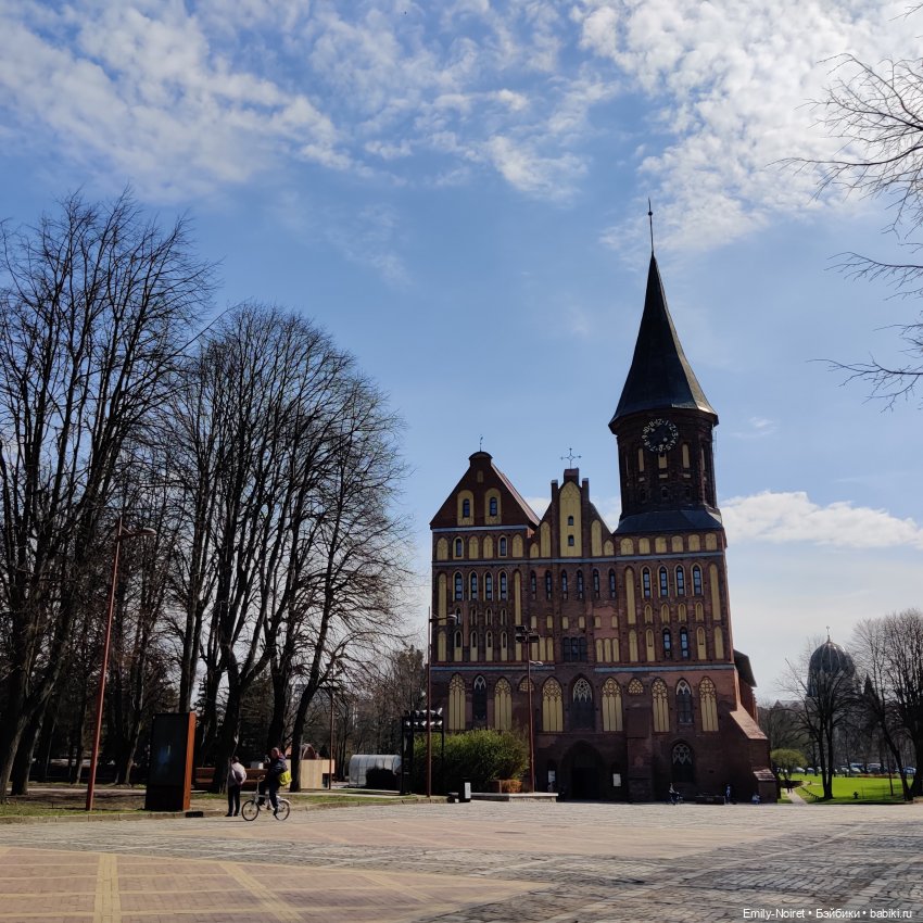 Путешествие в город Канта