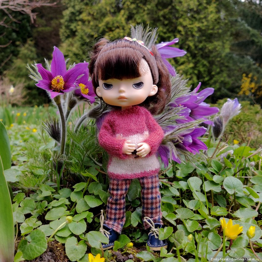 Путешествие в город Канта