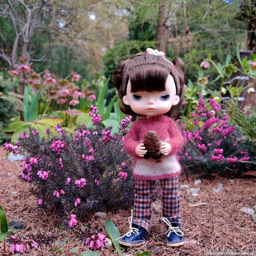 Путешествие в город Канта