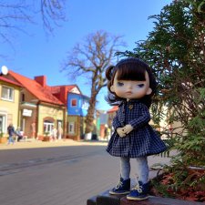 Зеленоградск - город котиков