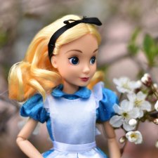 Долгожданное цветение