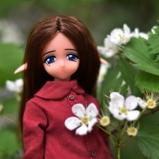 Ловим весну за хвост вместе с Рарафи