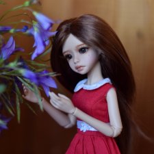 Полевые цветы для Софочки