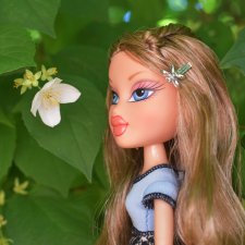 Прогулки с Братц