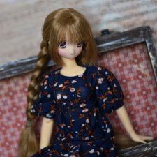 Девочка в шкатулке