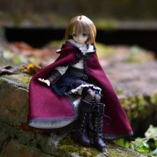 В поисках волка