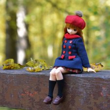 Кохаку в поисках осени