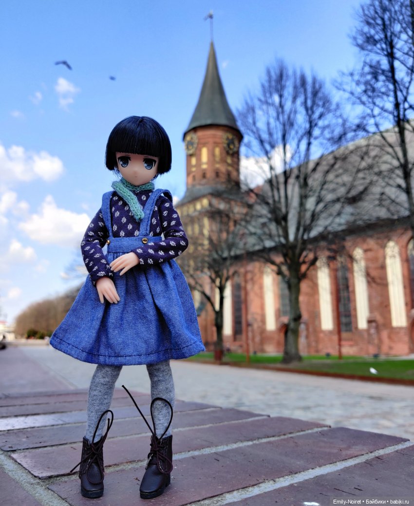 Мои итоги 2021-ого года — Домашние коллекции кукол: фото собраний (фото 6)