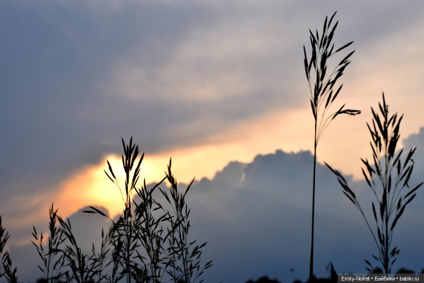 Мой путь писателя: от фэнтези до стимпанка (фото 4)