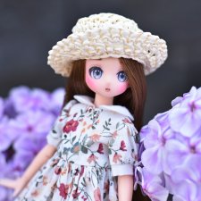 Летний день Птички