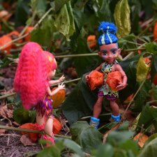 Сбор урожая