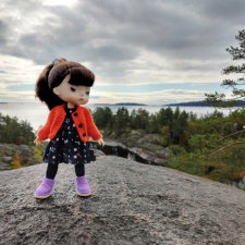 Карельские каникулы: Шхеры